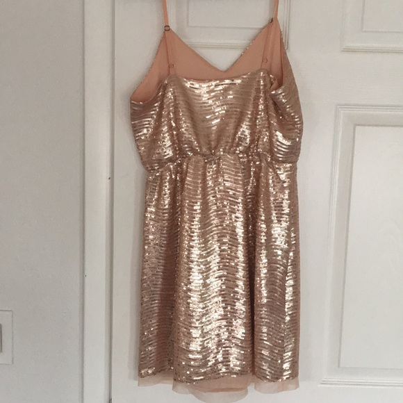Rose Gold Sequin Dress - Picture 3 of 4